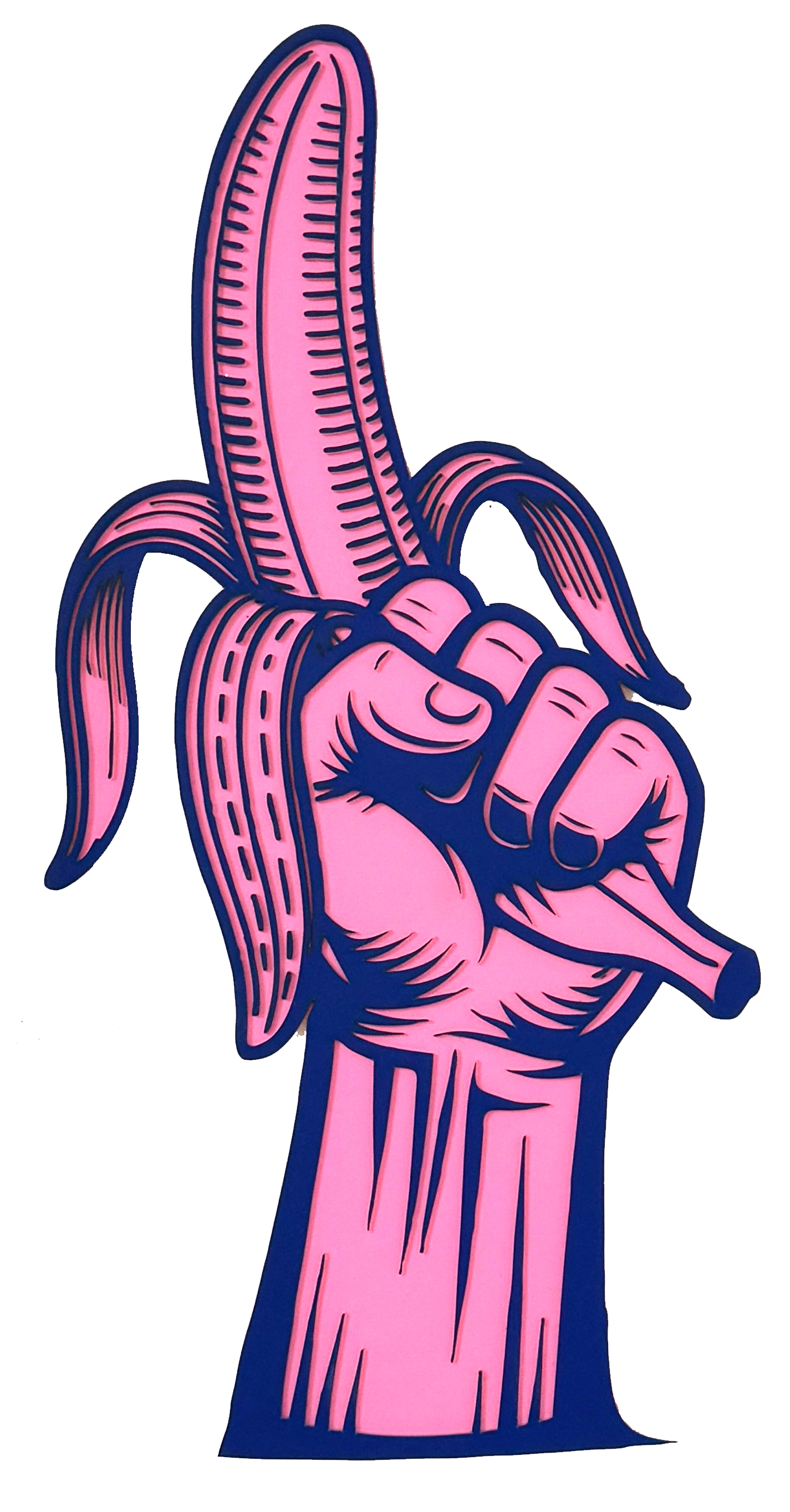 Viva la revolución-Banane rosa-blau